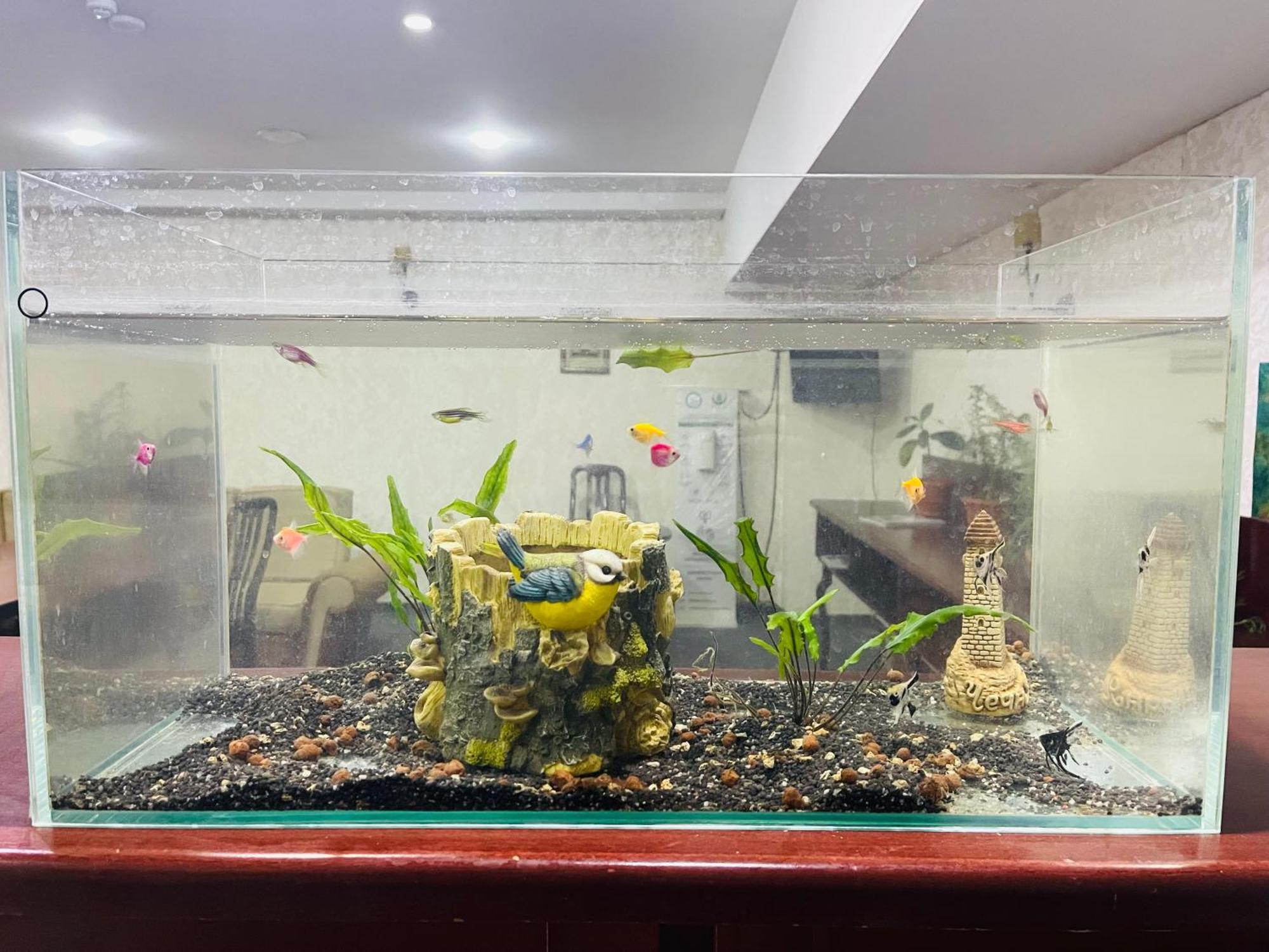Abu Arena Hall 바쿠 외부 사진